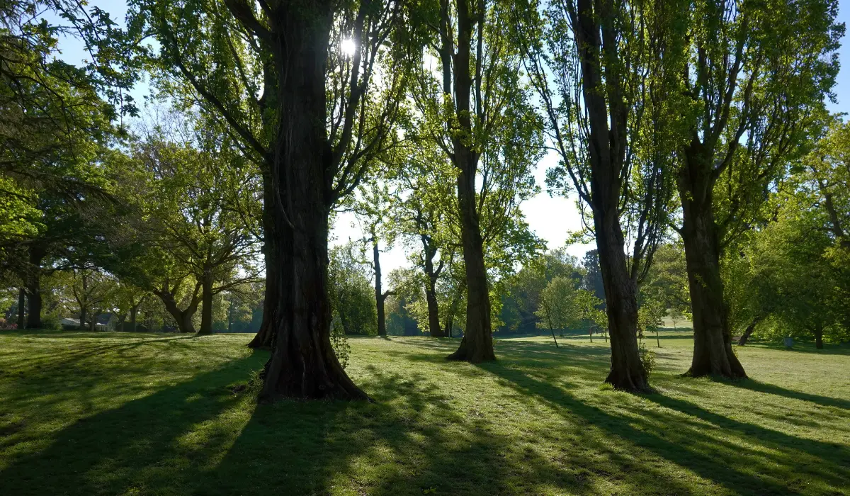 Parque Portland